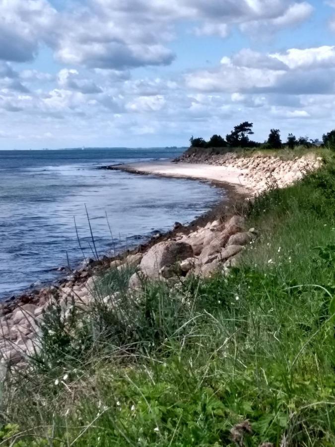 Ferienhaus Ostseeblick Ruegen 萨斯尼茨 外观 照片
